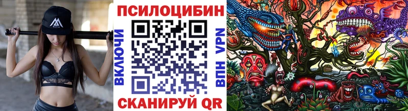 Псилоцибиновые грибы прущие грибы  купить наркоту  гидра   это клад  Мамоново 